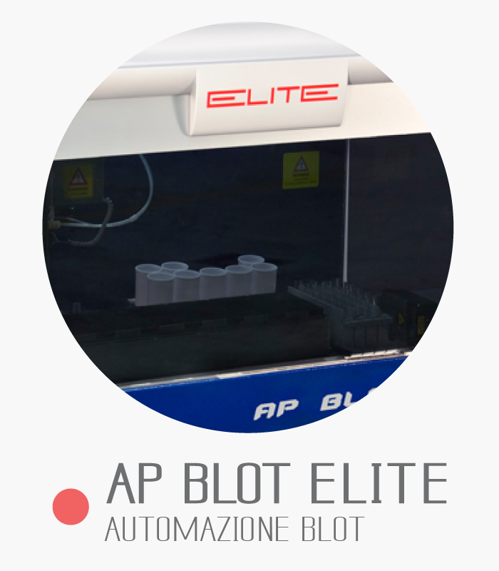 AP BLOT ELITE-image
